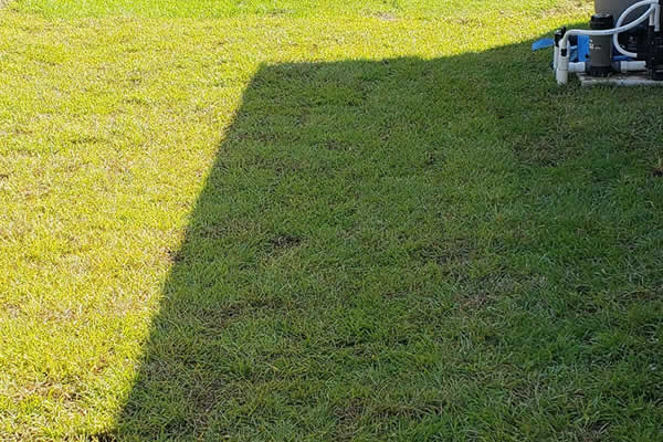 Crestview Sod Installation Services